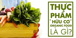 Thực phẩm hữu cơ là gì? Lợi ích và cách nhận biết thực phẩm hữu cơ