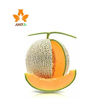 Dưa Lưới Hữu Cơ Tây Ninh