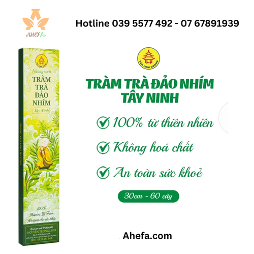 Nhang tràm trà đảo nhím Tây Ninh