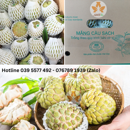 Mãng cầu (Na dai) Bà đen Tây Ninh