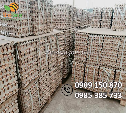 Vỉ giấy đựng trứng nuôi dế giá rẻ ưu đãi