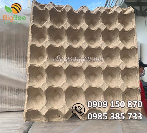 Vỉ trứng giấy 30 quả sỉ lẻ tại TP.HCM