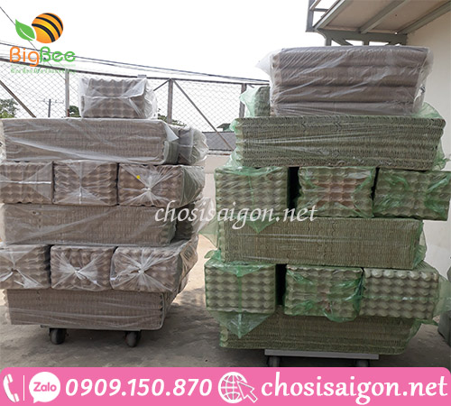 Đựng trứng 30 quả bằng vỉ giấy giá rẻ tại TP.HCM