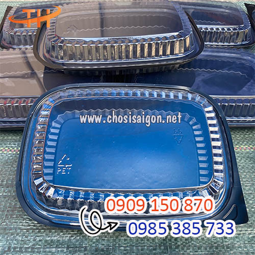 Sỉ rẻ hộp nhựa, khay nhựa đế đen HT203 giá tốt nhất
