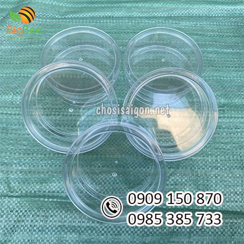 Hộp nhựa mica 250g 80 cái/kiện giá sỉ rẻ