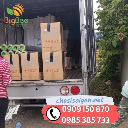 Giao hàng tận nơi hộp nhựa chữ nhật