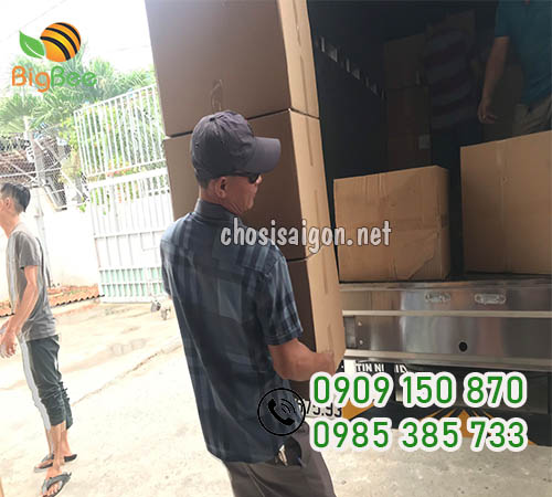 Bán sỉ tô giấy giá rẻ tại TP.HCM