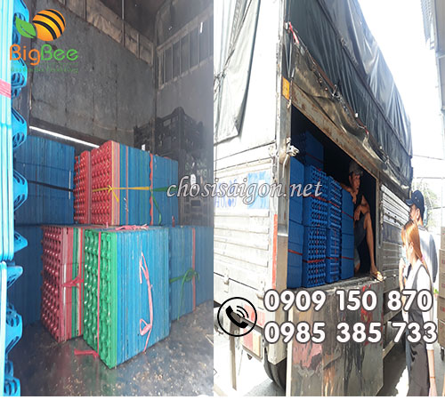 Bán sỉ vỉ nhựa đựng trứng giá ưu đãi cạnh tranh