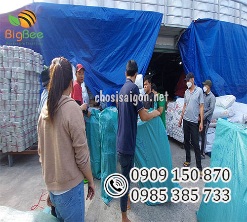 Sỉ vỉ nhựa đựng trứng giá rẻ, giao hàng tận nơi