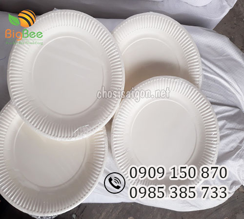 Dĩa giấy dùng 1 lần giá rẻ tại công ty Thu Hồng