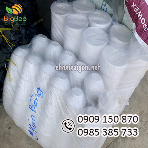 Chén nhựa pp dùng 1 lần giá xưởng ưu đãi