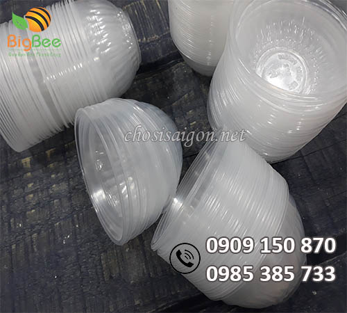 Chén nhựa trắng trong giá sỉ rẻ