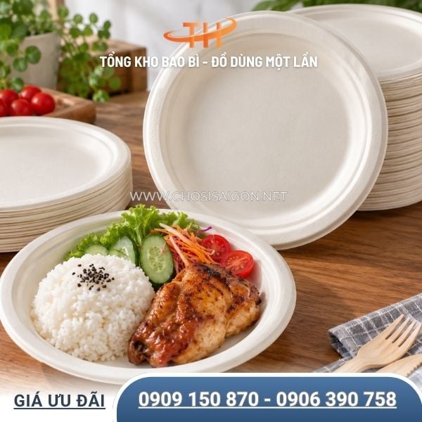 Dĩa bã mía tiện lợi đựng thức ăn