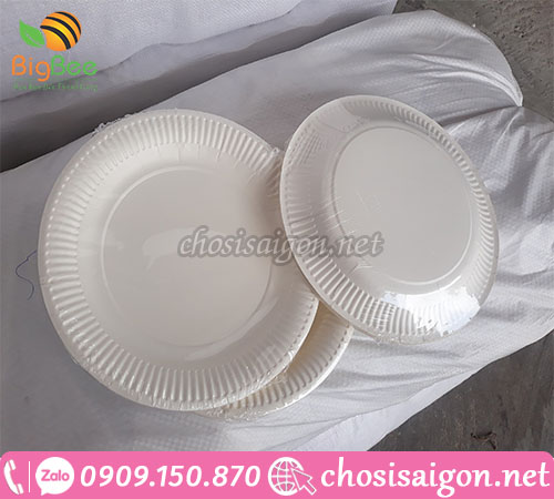 Cung cấp dĩa giấy dùng 1 lần giá sỉ rẻ tại công ty Thu Hồng