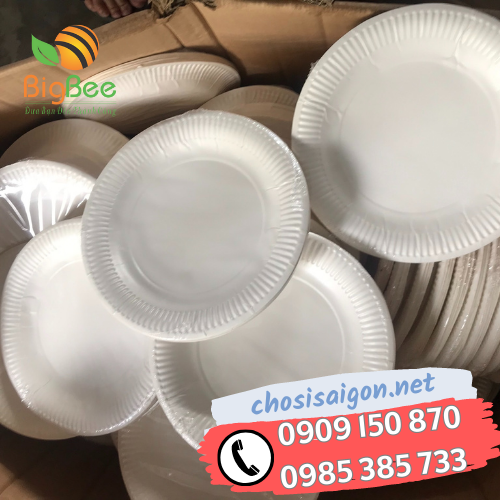 Đĩa giấy trắng dùng 1 lần size nhỏ 13cm giá rẻ nhất