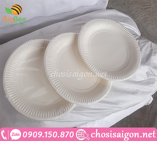 Bán dĩa giấy các loại giá rẻ dùng 1 lần tại TP.HCM