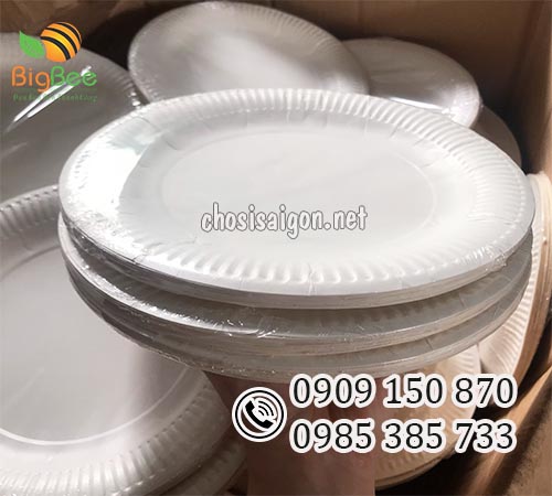 Đĩa giấy dùng 1 lần đựng bánh kem, các mòn xào, món nướng sỉ rẻ
