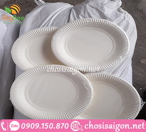 Dĩa giấy dùng 1 lần sỉ rẻ tại TP.HCM