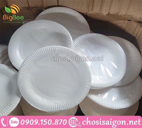 Dĩa giấy dùng 1 lần sỉ rẻ HCM