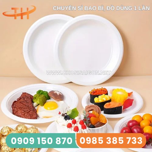 Dĩa nhựa đựng thức ăn