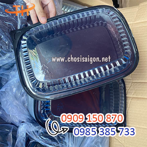 Hộp nhựa đế đen HT203 an toàn, chất lượng giá rẻ