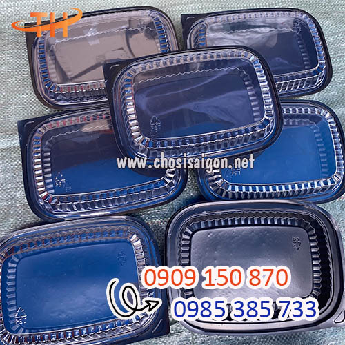 Hộp nhựa đế đen HT203 dùng 1 lần giá rẻ nhất