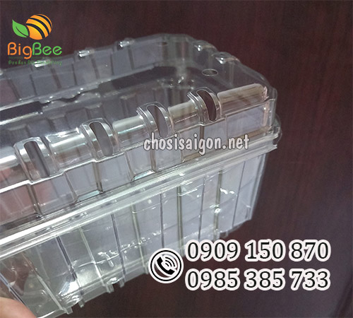 Hộp nhựa đựng trái cây có lỗ thoáng khí giá rẻ, giao hàng nhanh