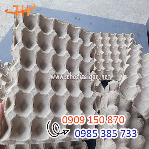 Khay giấy, vỉ trứng giấy 30 quả Malaysia sỉ rẻ