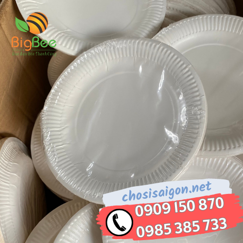 Đĩa giấy lớn 21cm dùng 1 lần giá rẻ nhất