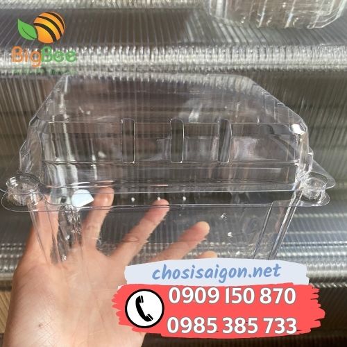 Hộp nhựa đựng trái cây P500D 500g 400 cái/thùng giá rẻ