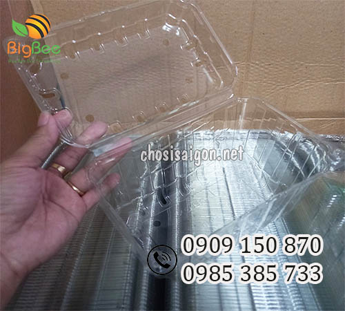 Gía sỉ rẻ hộp nhựa đựng trái cây 1kg tại HCM
