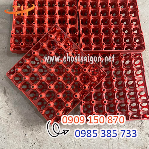 Vỉ, khay nhựa cứng 30 lỗ cứng cáp, bền tốt giá rẻ