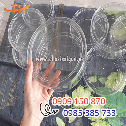 Gía sỉ hộp nhựa mica 500g tốt nhất