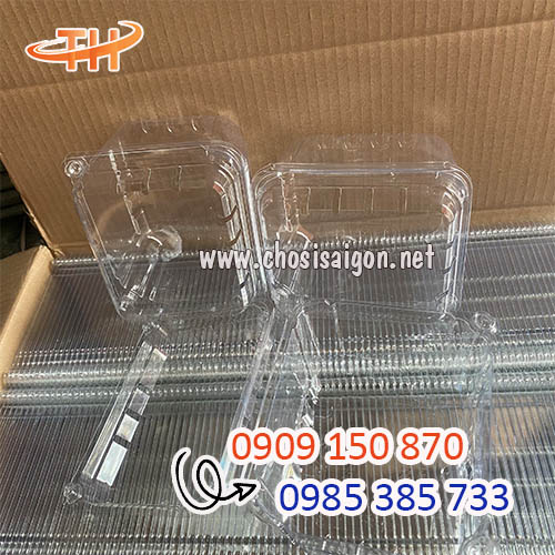 Hộp nhựa đựng trái cây giá sỉ nhiều ưu đãi