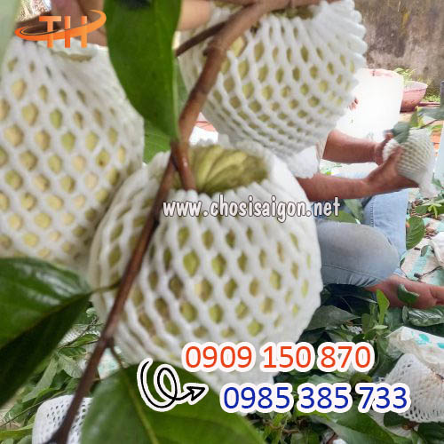 Sỉ rẻ nhất lưới xốp trắng bọc trái cây