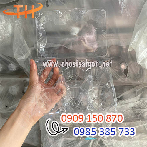Vỉ nhựa đựng trứng 6 quả dày dặn, cứng cáp sỉ rẻ