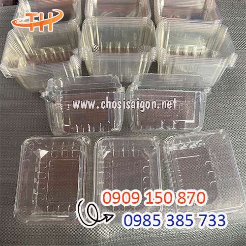 Hộp nhựa đựng nho 500g sỉ siêu rẻ