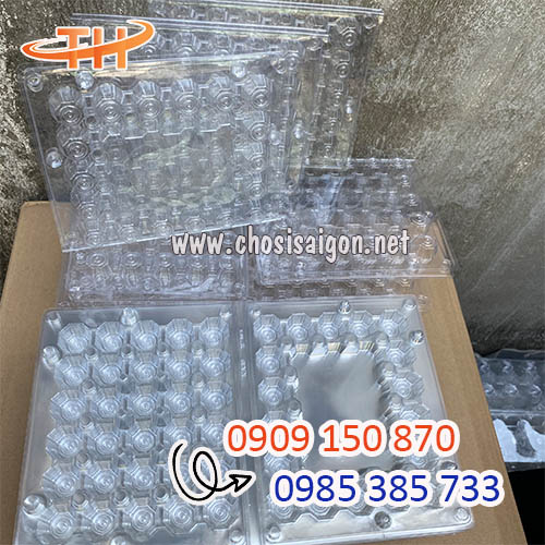 Vỉ nhựa đựng trứng cút chất lượng tốt giá sỉ tận xưởng