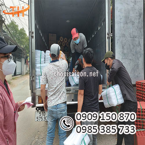 Sỉ số lượng lớn túi hột xoài freeship HCM