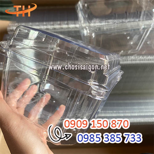 Hộp nhựa đựng trái cây 500gr tận gốc giá rẻ