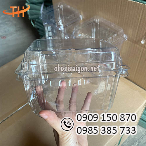 Hộp nhựa pet đựng trái cây 500g sỉ rẻ chất lượng