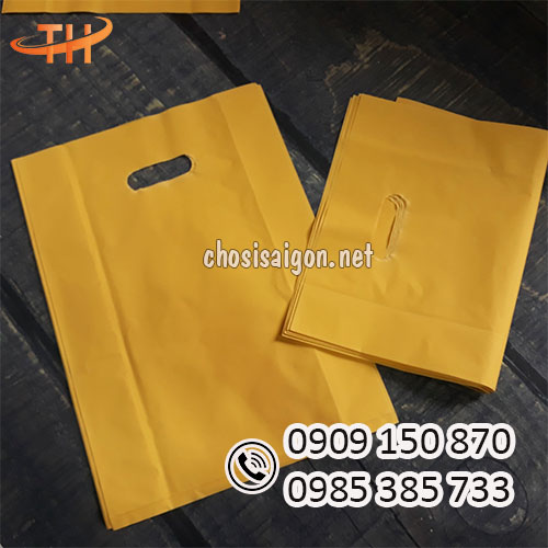 Túi hột xoài giá rẻ, freeship HCM