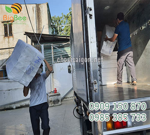 Giao khay xốp số lượng tại TP.HCM
