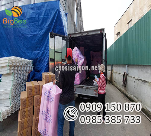 Giao sỉ hộp xốp cơm giá tốt cho khách toàn quốc