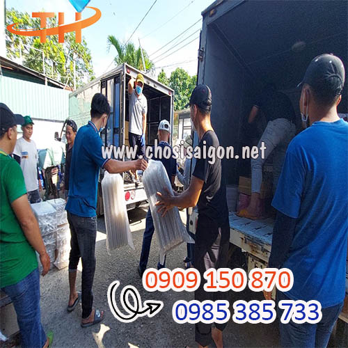 Vỉ nhựa đựng trứng 6 quả giao hàng nhanh chóng giá rẻ