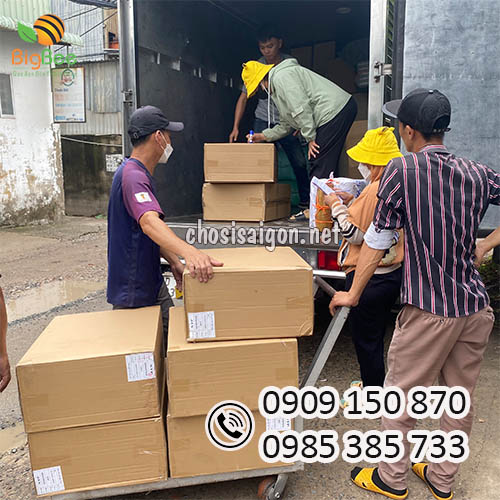 Giao sỉ tô giấy, freeship HCM