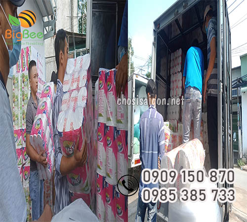 giấy vệ sinh Calex, Maxi giá sỉ rẻ