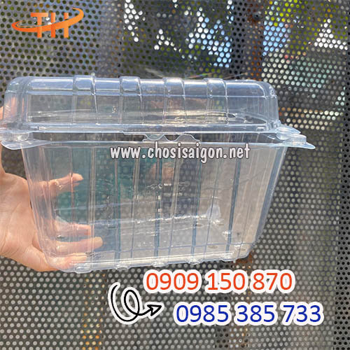 Giá tận gốc hộp nhựa đựng trái cây 1 ký rẻ nhất