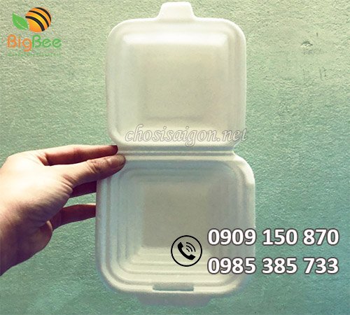 Hộp đựng xôi bánh bao giá sỉ rẻ