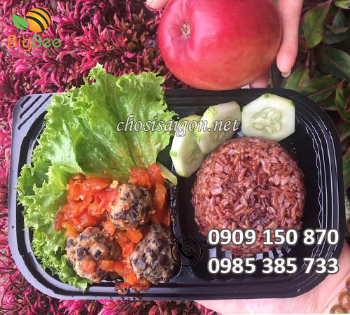 Hộp nhựa HT17 2 ngăn đựng cơm giá sỉ rẻ